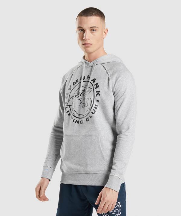 Panske Mikiny S Kapucňou Gymshark Legacy Svetlo Siva | XN1738206